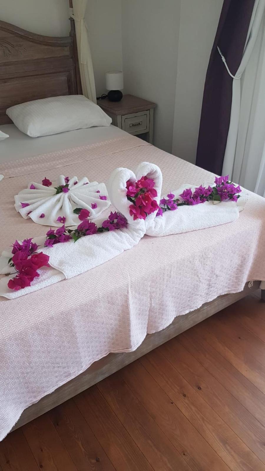 Nocleg ze śniadaniem Alice Selimiye (Aegean)